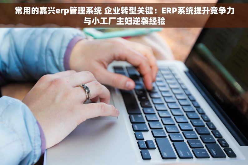 常用的嘉兴erp管理系统 企业转型关键：ERP系统提升竞争力与小工厂主妇逆袭经验