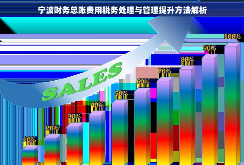 宁波财务总账费用税务处理与管理提升方法解析