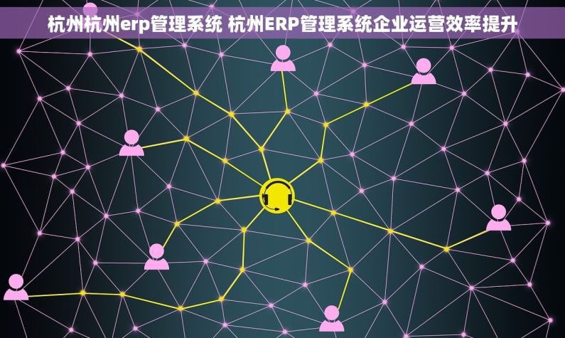 杭州杭州erp管理系统 杭州ERP管理系统企业运营效率提升