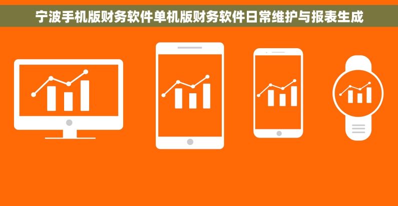 宁波手机版财务软件单机版财务软件日常维护与报表生成