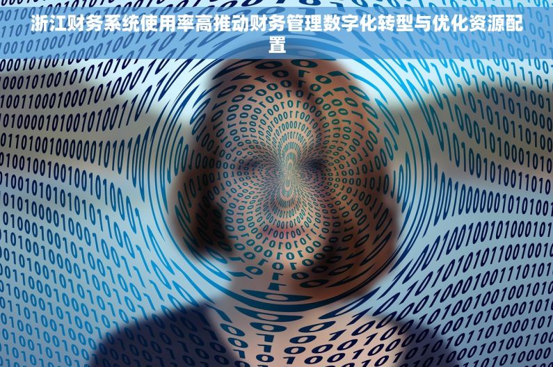 浙江财务系统使用率高推动财务管理数字化转型与优化资源配置