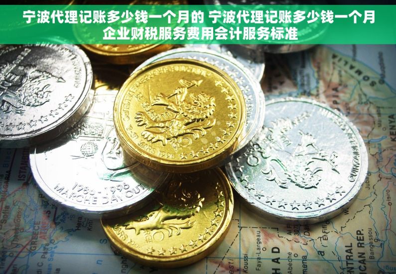 宁波代理记账多少钱一个月的 宁波代理记账多少钱一个月 企业财税服务费用会计服务标准