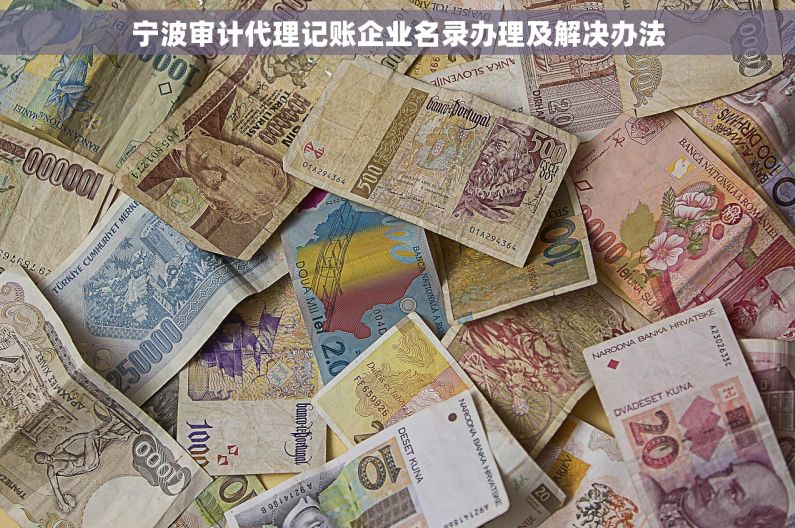 宁波审计代理记账企业名录办理及解决办法