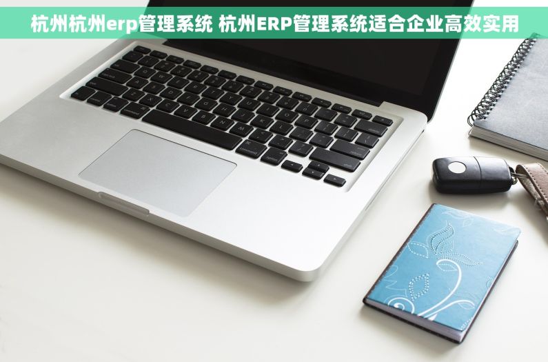 杭州杭州erp管理系统 杭州ERP管理系统适合企业高效实用