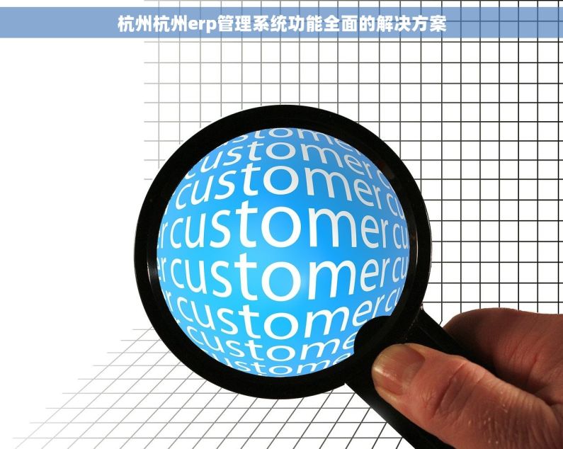 杭州杭州erp管理系统功能全面的解决方案