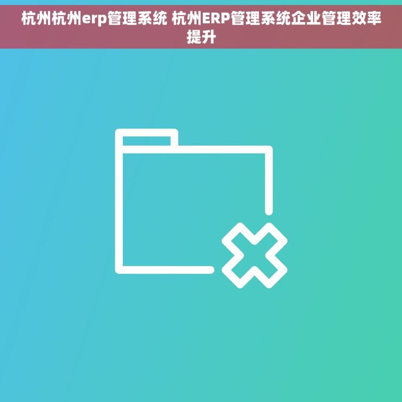 杭州杭州erp管理系统 杭州ERP管理系统企业管理效率提升