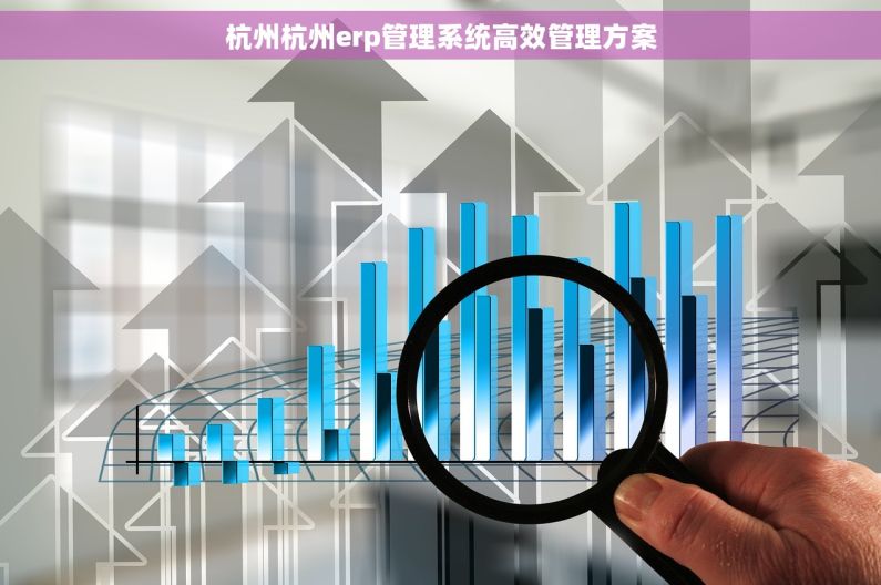 杭州杭州erp管理系统高效管理方案
