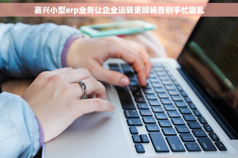 嘉兴小型erp业务让企业运转更顺畅告别手忙脚乱