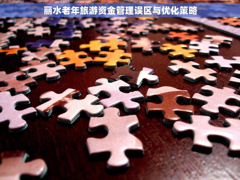 丽水老年旅游资金管理误区与优化策略