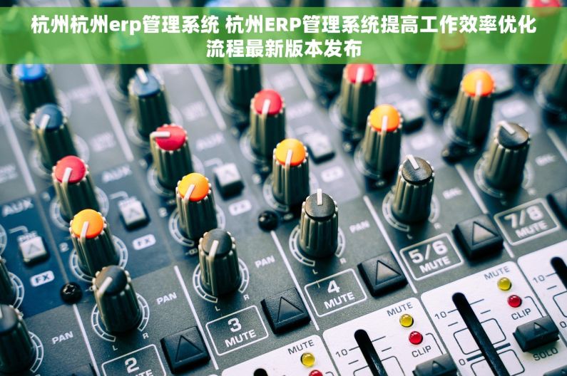 杭州杭州erp管理系统 杭州ERP管理系统提高工作效率优化流程最新版本发布