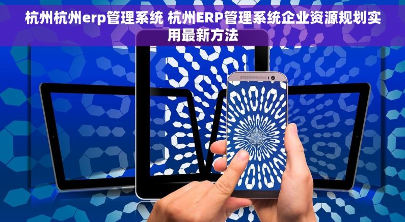 杭州杭州erp管理系统 杭州ERP管理系统企业资源规划实用最新方法