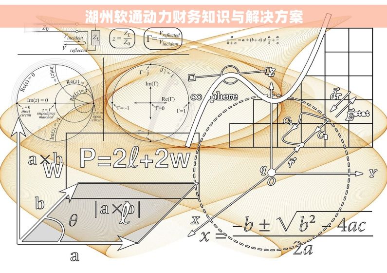 湖州软通动力财务知识与解决方案