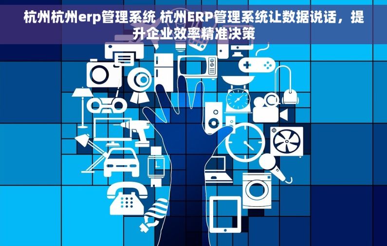 杭州杭州erp管理系统 杭州ERP管理系统让数据说话，提升企业效率精准决策