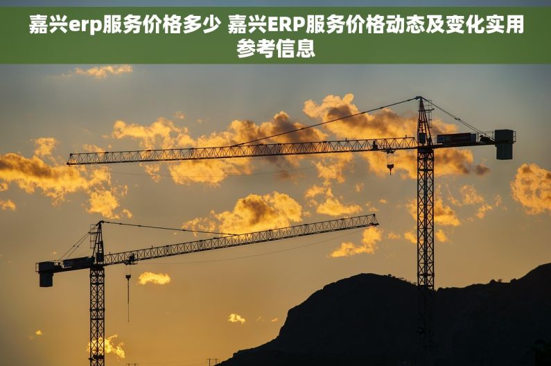 嘉兴erp服务价格多少 嘉兴ERP服务价格动态及变化实用参考信息