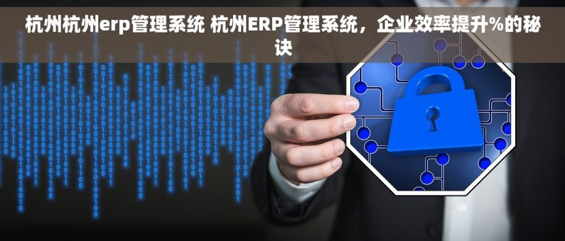 杭州杭州erp管理系统 杭州ERP管理系统，企业效率提升%的秘诀