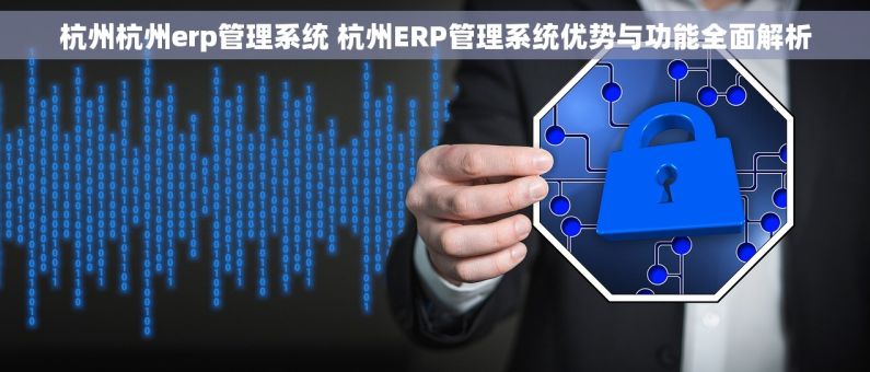 杭州杭州erp管理系统 杭州ERP管理系统优势与功能全面解析