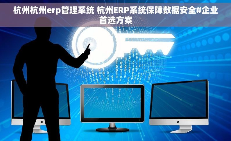 杭州杭州erp管理系统 杭州ERP系统保障数据安全#企业首选方案