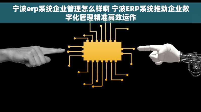 宁波erp系统企业管理怎么样啊 宁波ERP系统推动企业数字化管理精准高效运作