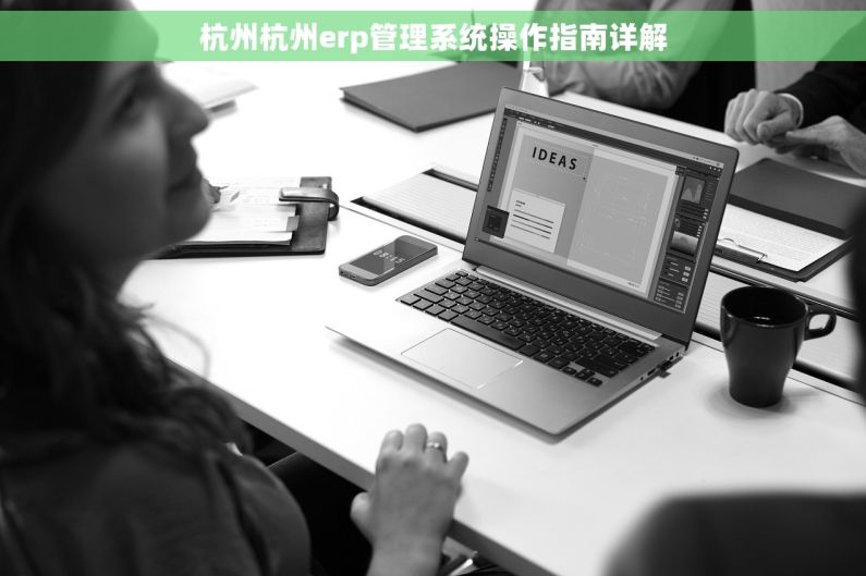 杭州杭州erp管理系统操作指南详解
