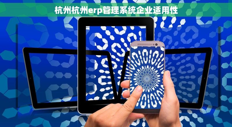 杭州杭州erp管理系统企业适用性