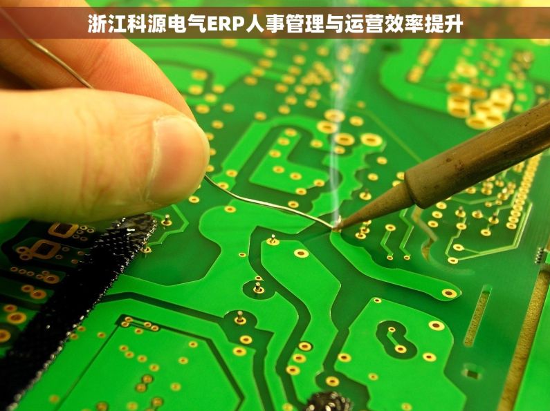 浙江科源电气ERP人事管理与运营效率提升
