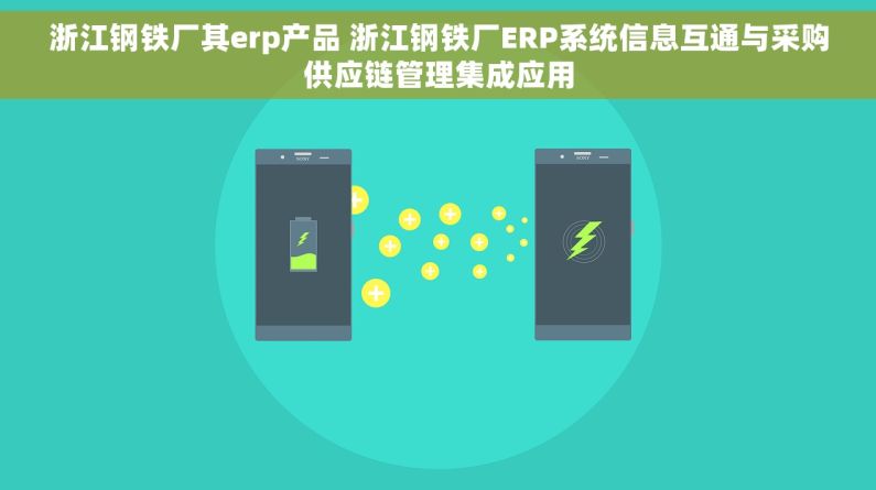 浙江钢铁厂其erp产品 浙江钢铁厂ERP系统信息互通与采购供应链管理集成应用