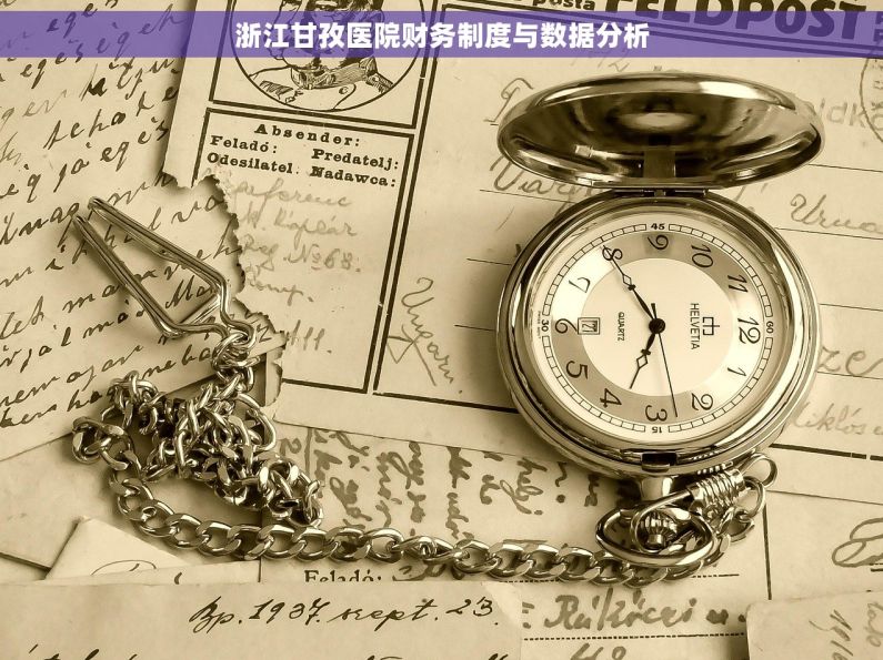 浙江甘孜医院财务制度与数据分析