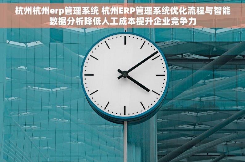 杭州杭州erp管理系统 杭州ERP管理系统优化流程与智能数据分析降低人工成本提升企业竞争力