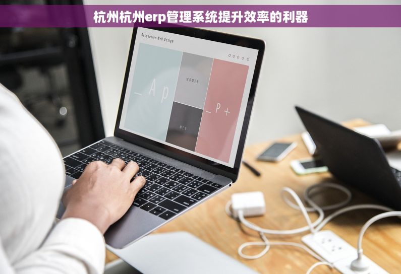 杭州杭州erp管理系统提升效率的利器
