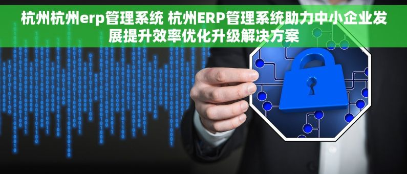 杭州杭州erp管理系统 杭州ERP管理系统助力中小企业发展提升效率优化升级解决方案