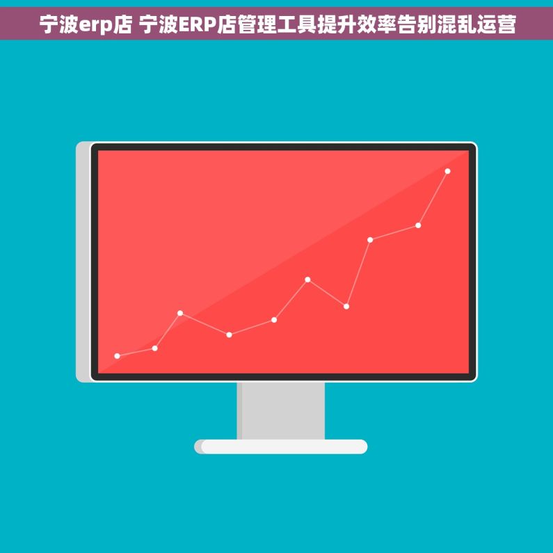 宁波erp店 宁波ERP店管理工具提升效率告别混乱运营