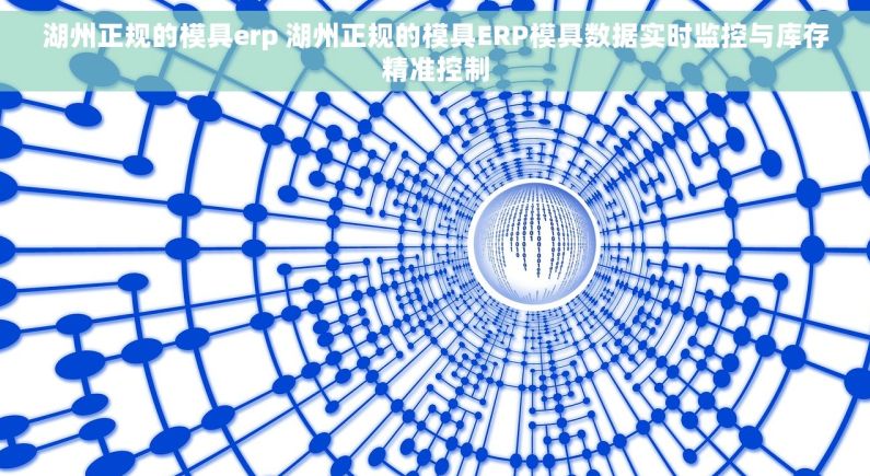 湖州正规的模具erp 湖州正规的模具ERP模具数据实时监控与库存精准控制