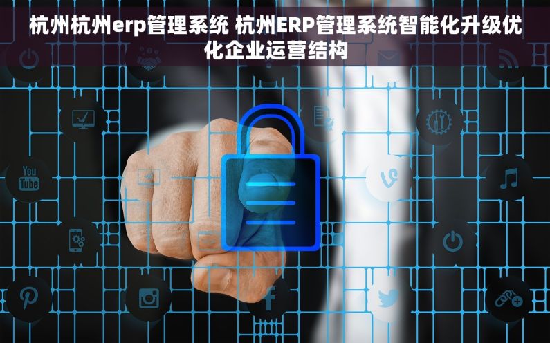 杭州杭州erp管理系统 杭州ERP管理系统智能化升级优化企业运营结构