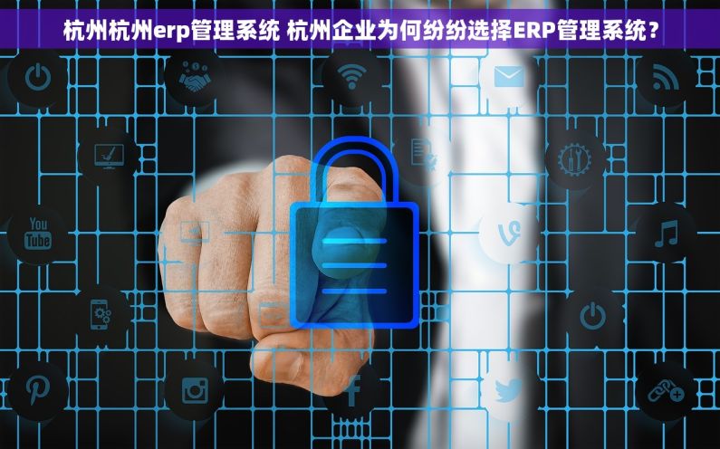杭州杭州erp管理系统 杭州企业为何纷纷选择ERP管理系统？