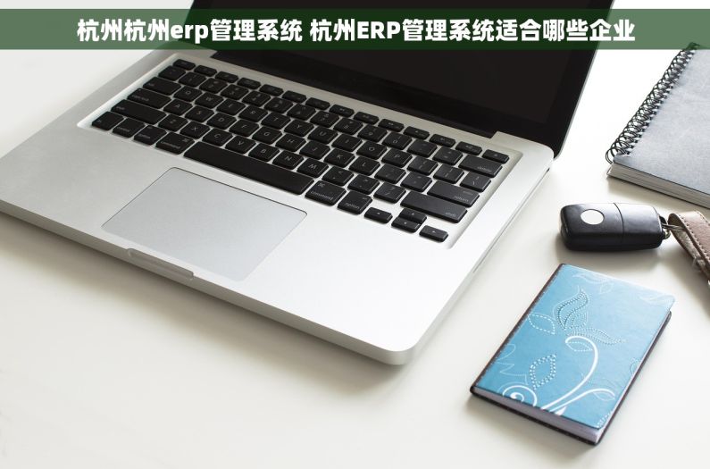 杭州杭州erp管理系统 杭州ERP管理系统适合哪些企业