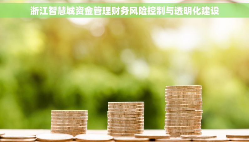 浙江智慧城资金管理财务风险控制与透明化建设