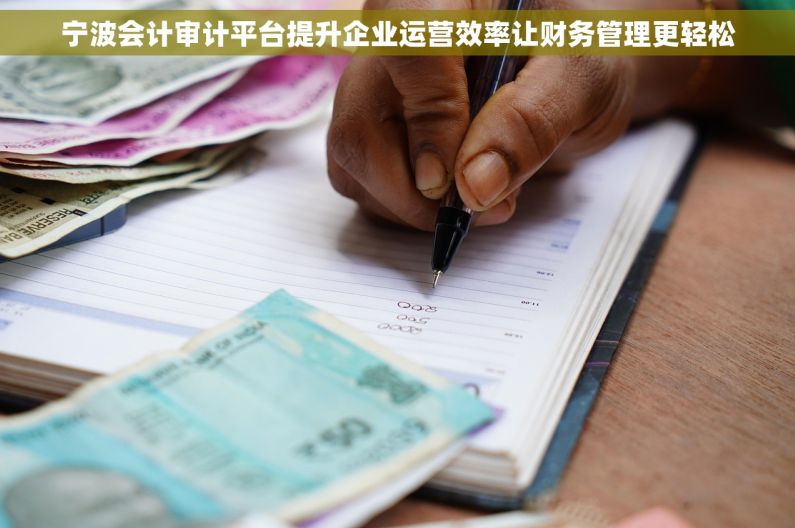 宁波会计审计平台提升企业运营效率让财务管理更轻松