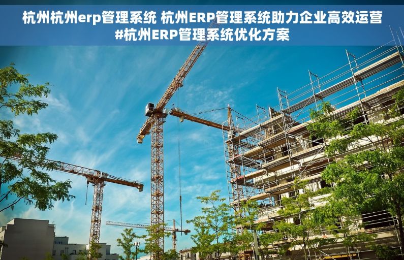 杭州杭州erp管理系统 杭州ERP管理系统助力企业高效运营#杭州ERP管理系统优化方案