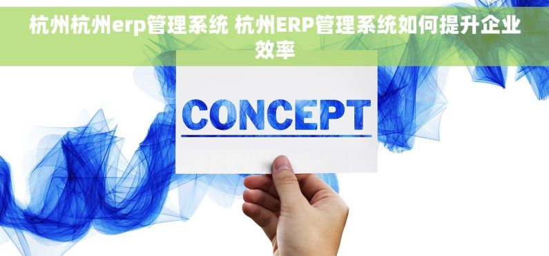 杭州杭州erp管理系统 杭州ERP管理系统如何提升企业效率