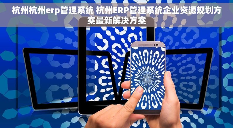 杭州杭州erp管理系统 杭州ERP管理系统企业资源规划方案最新解决方案