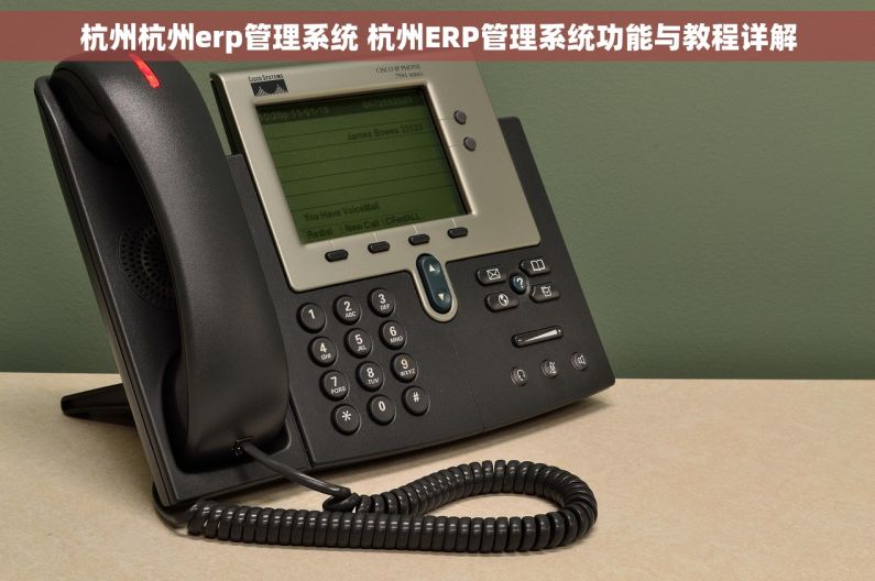 杭州杭州erp管理系统 杭州ERP管理系统功能与教程详解