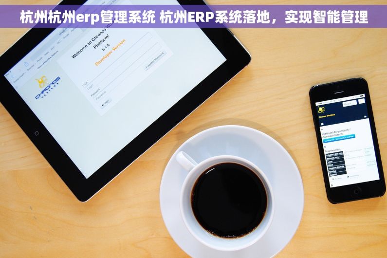 杭州杭州erp管理系统 杭州ERP系统落地，实现智能管理