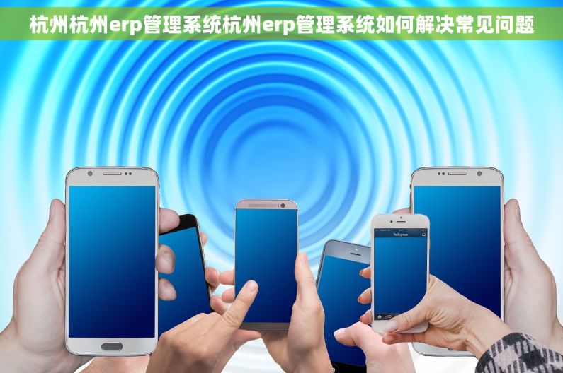 杭州杭州erp管理系统杭州erp管理系统如何解决常见问题