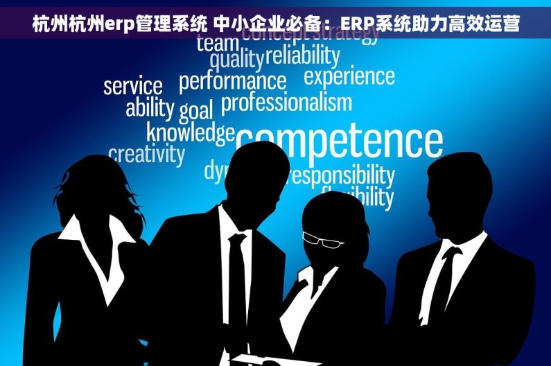 杭州杭州erp管理系统 中小企业必备：ERP系统助力高效运营