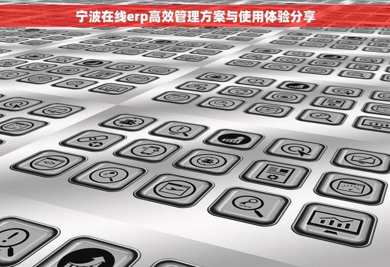 宁波在线erp高效管理方案与使用体验分享
