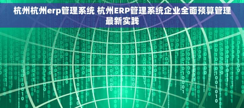 杭州杭州erp管理系统 杭州ERP管理系统企业全面预算管理最新实践