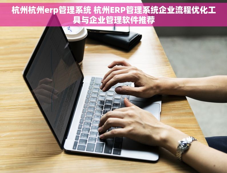 杭州杭州erp管理系统 杭州ERP管理系统企业流程优化工具与企业管理软件推荐
