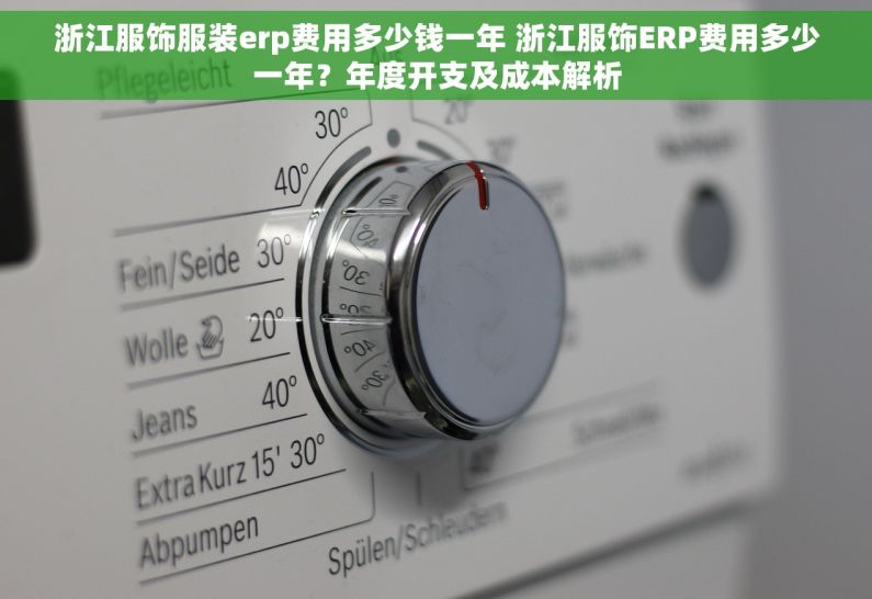 浙江服饰服装erp费用多少钱一年 浙江服饰ERP费用多少一年？年度开支及成本解析