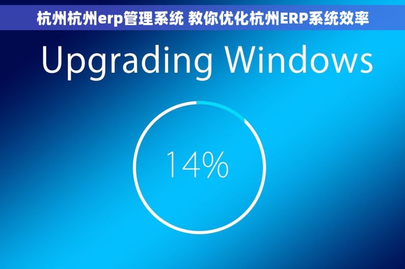 杭州杭州erp管理系统 教你优化杭州ERP系统效率