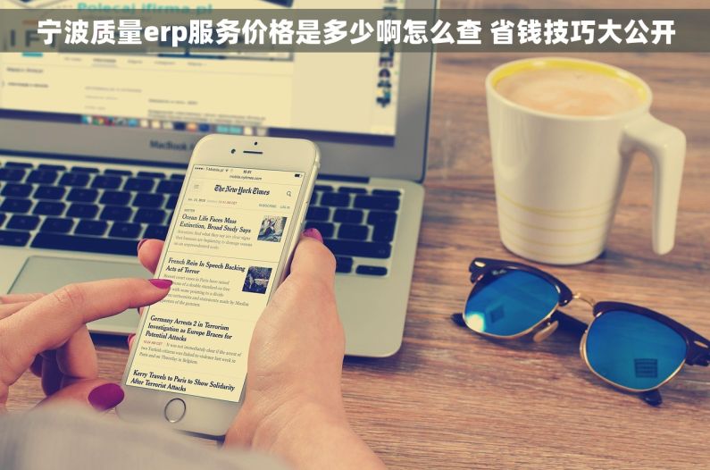 宁波质量erp服务价格是多少啊怎么查 省钱技巧大公开